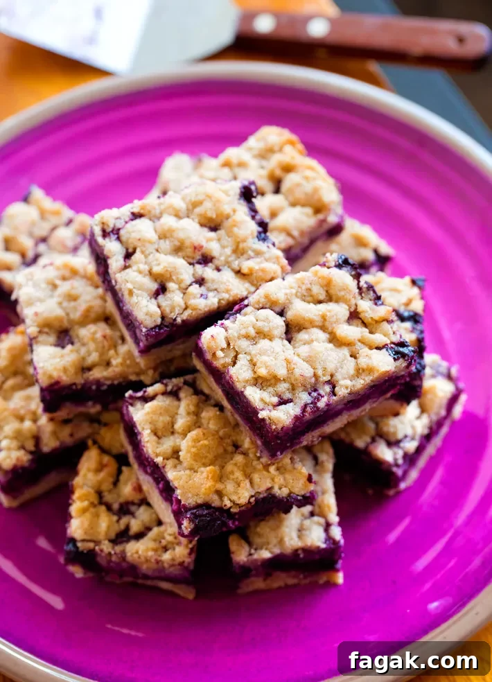 Blueberry Bars