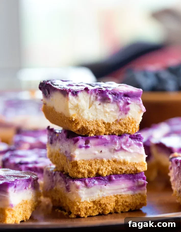 Blueberry Cheesecake Bars