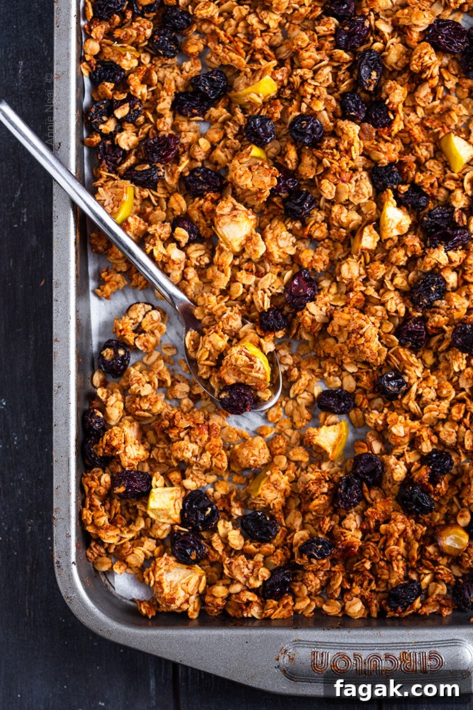 Apple and Raisin Granola final
