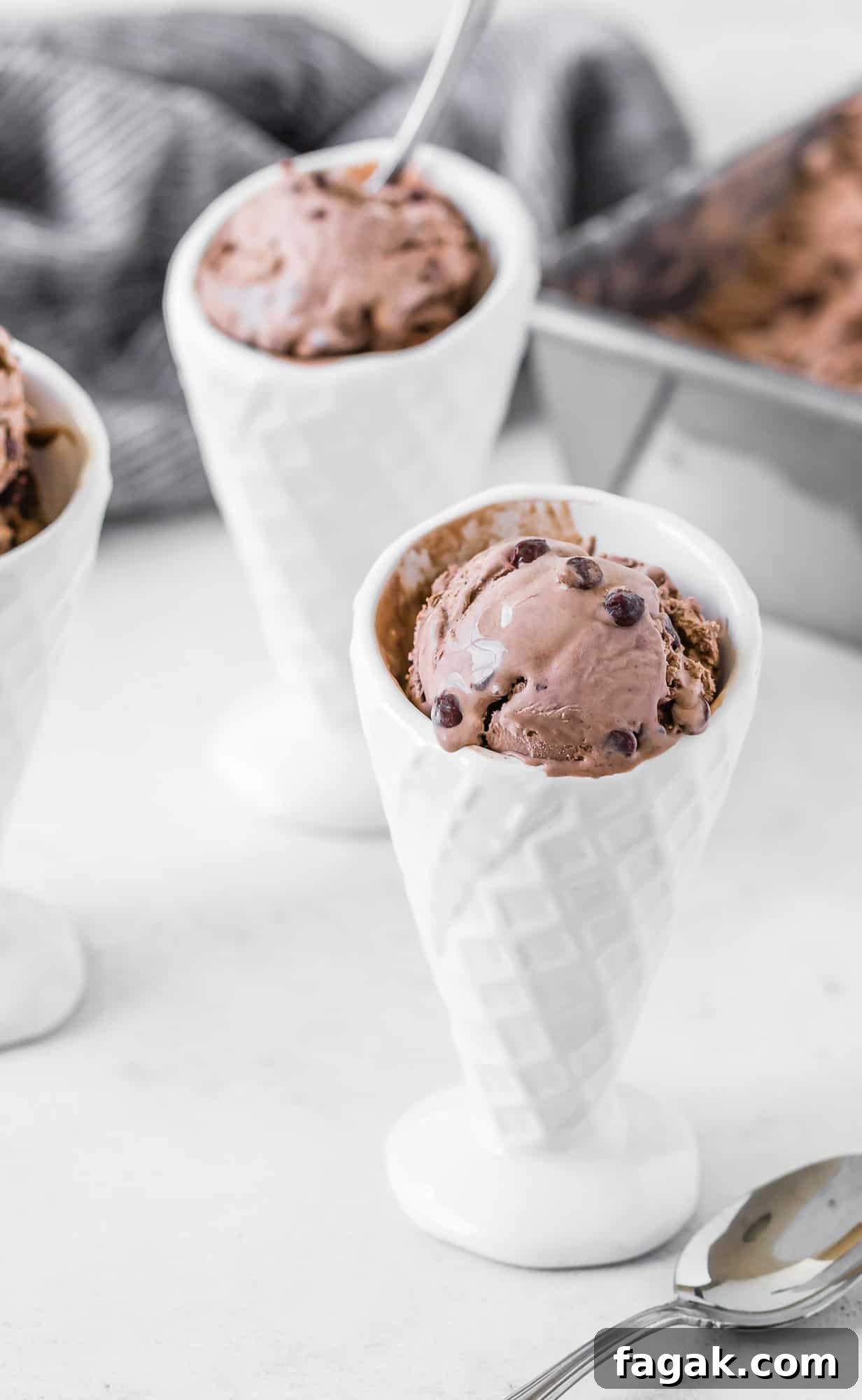 Chocolate ice cream with chocolate chips in a white bowl.