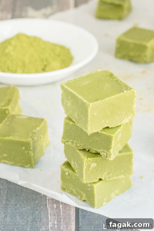 Love green tea? You won't be able to resist this incredibly easy Green Tea Fudge recipe. It's rich, satisfying, and provides a nice energy boost, thanks to the matcha green tea powder. Plus this recipe is Paleo, meaning it's dairy-free, refined sugar-free and grain-free!