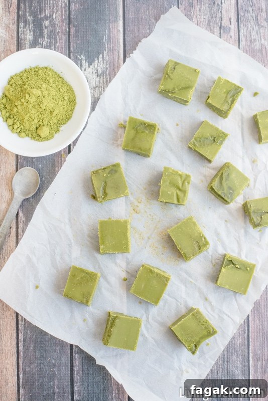 Love green tea? You won't be able to resist this incredibly easy Green Tea Fudge recipe. It's rich, satisfying, and provides a nice energy boost, thanks to the matcha green tea powder. Plus this recipe is Paleo, meaning it's dairy-free, refined sugar-free and grain-free!