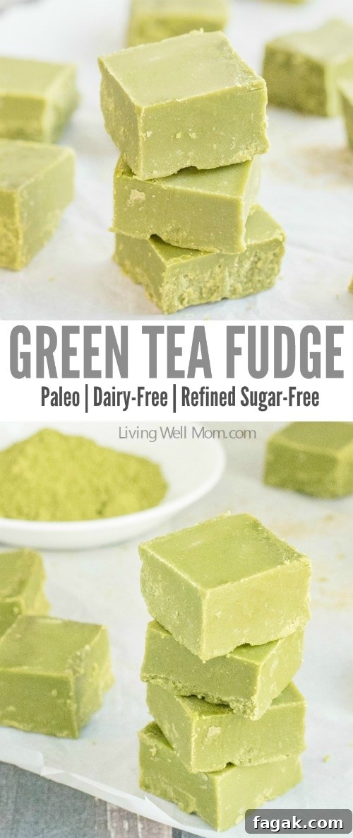 Love green tea? You won't be able to resist this incredibly easy Green Tea Fudge recipe. It's rich, satisfying, and provides a nice energy boost, thanks to the matcha green tea powder. Plus this recipe is Paleo, meaning it's dairy-free, refined sugar-free and grain-free!