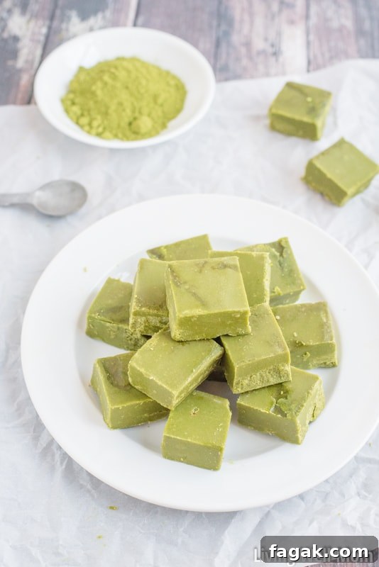 Love green tea? You won't be able to resist this incredibly easy Green Tea Fudge recipe. It's rich, satisfying, and provides a nice energy boost, thanks to the matcha green tea powder. Plus this recipe is Paleo, meaning it's dairy-free, refined sugar-free and grain-free!