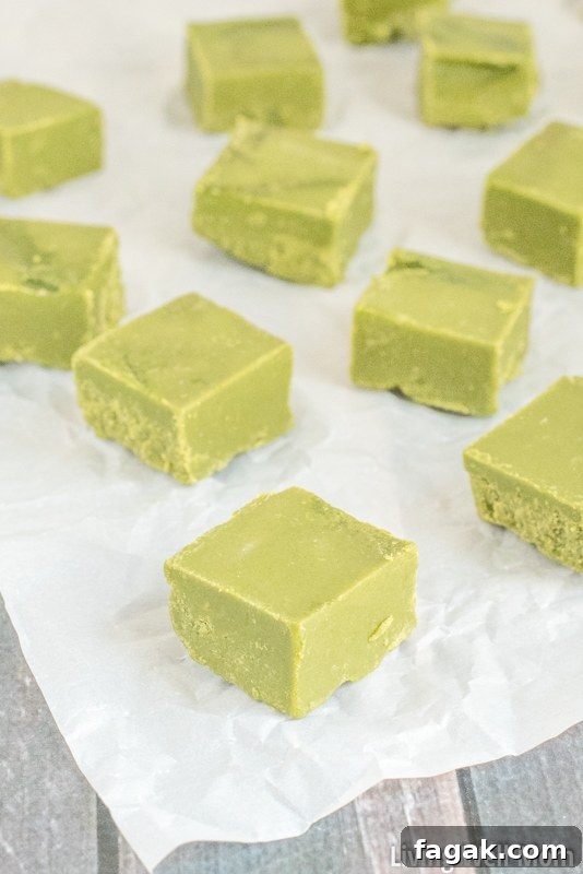 Love green tea? You won't be able to resist this incredibly easy Green Tea Fudge recipe. It's rich, satisfying, and provides a nice energy boost, thanks to the matcha green tea powder. Plus this recipe is Paleo, meaning it's dairy-free, refined sugar-free and grain-free!