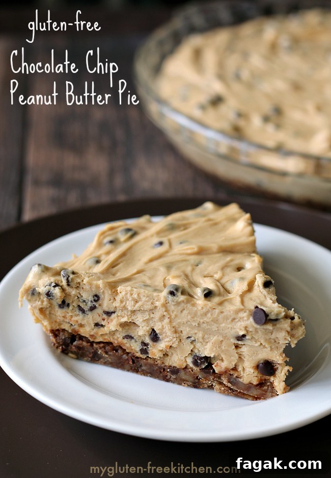 Gluten-free Chocolate Chip Peanut Butter Pie Recipe. Rich and creamy. We all wanted seconds!
