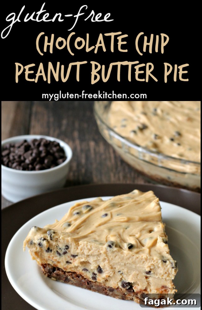 slice of gluten-free peanut butter pie with chocolate chips
