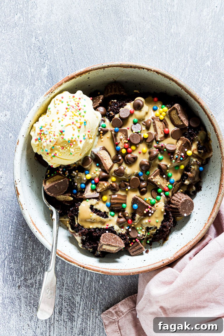 top down view of a serving of the slow cooker chocolate peanut butter cake with ice cream and sprinkles