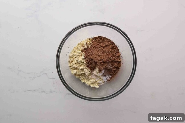 Chickpea flour, cocoa, baking soda, and salt in a bowl.