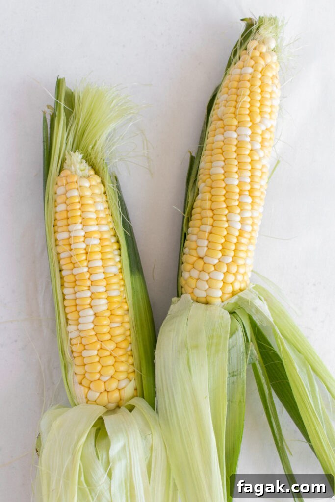 Shucked corn ears
